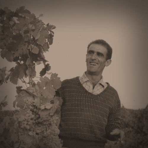 Favourite Place